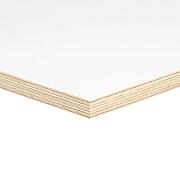 Multiplex populieren primed 9 mm 250x122 cm wit – Bouwvoordeel