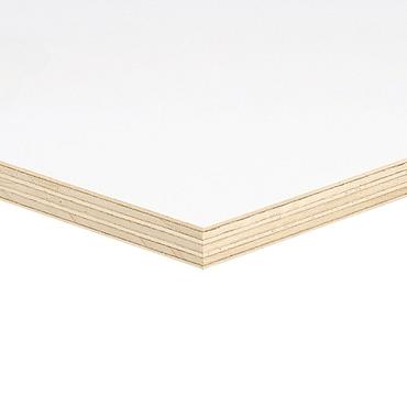 Multiplex populieren primed 9 mm 250x122 cm wit – Bouwvoordeel