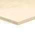 Multiplex populieren 12 mm B/BB 250x122 cm – Bouwvoordeel